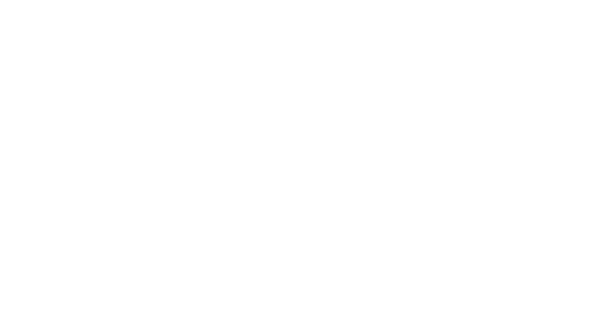 Beaver Home Design